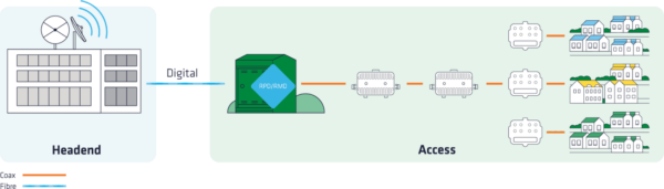 Full Duplex DOCSIS (FDX) Amplifier
